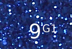 9G1.png