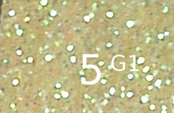 5G1.png