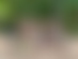 As danças populares que completam o ciclo junino