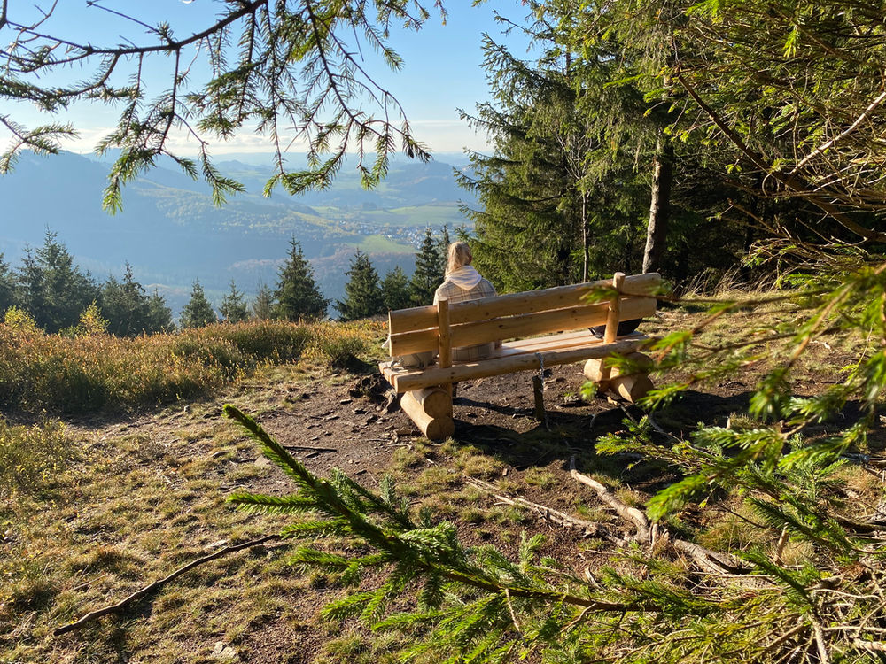 Ohlenkopf bei Olsberg