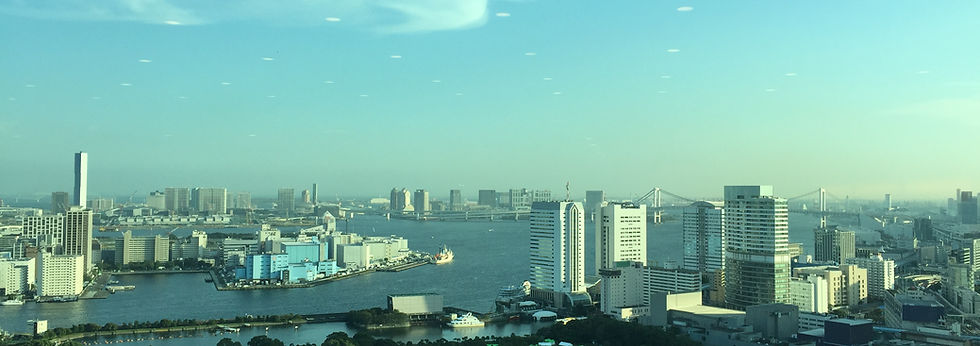 有限会社アトリウムの会社情報