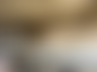 TIRANË | AUTORITETI KOMBËTAR I USHQIMIT BLLOKOI 328.7 KG DJATHË NGA BAXHOJA “BONUM”; PO E USHQEJNË POPULLIN ME MBETURINA EDHE PSE POPULLI E PAGUAN 1 KILE DJATHË SA FRËNGU PULËN.