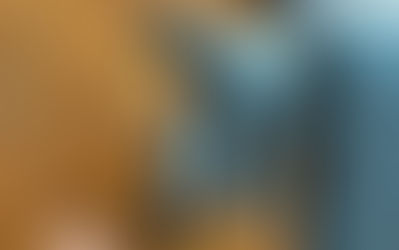 KAMËZ | BLEDAR JELLA DHE XHEMAL SHEHI U ARRESTUAN; TREGTARË ARMËSH ZJARRI.