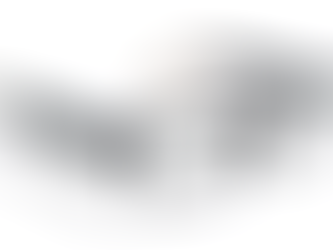 AMAZON PO MENDON PËR SYZE INTELIGJENTE PËR TË OPTIMIZUAR DËRGESAT.