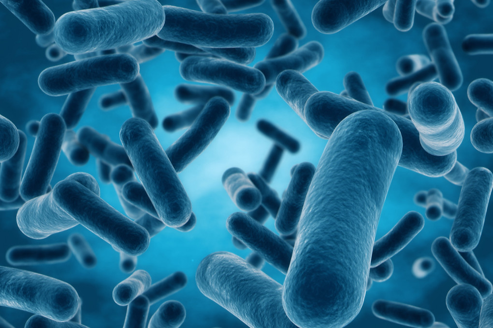 REVISTA “NATURE”: MOSHA NDRYSHON MËNYRËN SE SI TRUPI LUFTON INFEKSIONET.