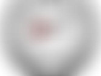 FSHATI PAVLAN; PEJË | GENTONIS NIKQI U ARRESTUA; NËN HETIM PENAL PARAPRAK PËR DY VEPRA PENALE. 