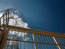 GJYKATA E APELIT PENAL TË SELANIKUT SHQIPTOI DËNIME ME BURGIM TË PËRJETSHËM PËR TRE VETA QË U KAPËN MUAJIN QERSHOR TË VITIT 2024 ME 21 KG KOKAINË.