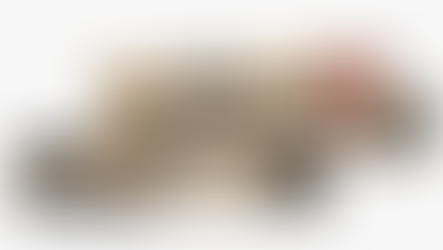 GJERMANI | FORCAT E ARMATOSURA PLANIFIKOJNË TË VËNË NË FUNKSION SISTEMIN IZRELIT TË MBROJTJES AJRORE “ARROW 3” PËR TË KAPUR RAKETAT BALISTIKE QË VIJË JASHTË ATMOSFERËS SË TOKËS.