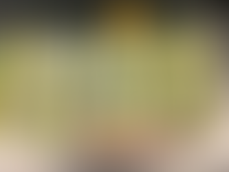 PROKURORIA SPECIALE + AGJENCIA E KOSOVËS PËR INTELIGJENCË ARRESTUAN KRYETARIN E DEGËS SË GJYKATËS SË GRAÇANICËS JOVICA MITROVIÇ; KORRUPSION + SHPËRDORIM DETYRE.