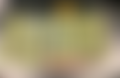 PROKURORIA SPECIALE + AGJENCIA E KOSOVËS PËR INTELIGJENCË ARRESTUAN KRYETARIN E DEGËS SË GJYKATËS SË GRAÇANICËS JOVICA MITROVIÇ; KORRUPSION + SHPËRDORIM DETYRE.