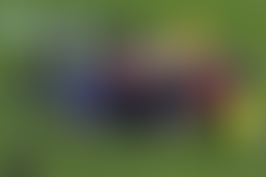 NDESHJA E TOPAKËMBASIT FIORENTINA-INTER: EDOARDO BOVE MESFUSHORI I VIOLËS U RRËZUA NË FUSHËN E LOJËS.