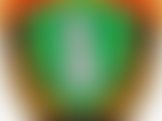 FSHATI VUKPALAJ; SHKODËR | KLAJDI LLOZHI (NGA MAMURRASI) U ARRESTUA; TRAFIK I 6 EMIGRANTËVE (500 € PËR KOKË) DREJT MALIT TË ZI (3 SIRIANË + 3 EGJIPTIANË).