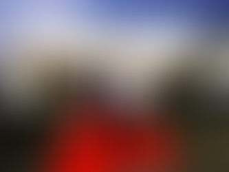 PRESIDENTI I REPUBLIKËS FEDERALE TË GJERMANISË FRANK-VALTËR SHTEINMEIËR (WALTER STEINMEIER) MBËRRITI NË SHTETET E BASHKUARA TË MEKSIKËS PËR VIZITË ZYRTARE.