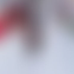 DALENI, DALENI, SE NUK KENI PARË GJË AKOMA!