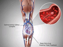 MBRONI ZEMRËN TUAJ TË DYTË.