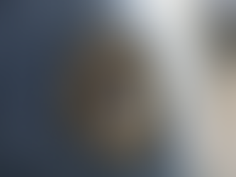 RRUGA “IMER DERVISHOLLI”; FSHATI DOBRATIN; PODUJEVË | NEXHMI IMERI U PROCEDUA PENALISHT; DY VEPRA PENALE.