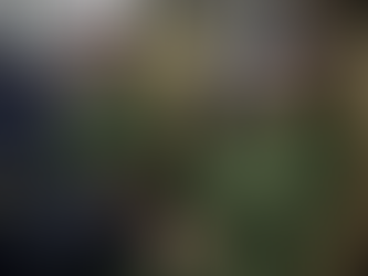 REPUBLIKA FEDERALE E GJERMANISË AKUZON RUSINË SE PO PËRPIQET TË DESTABILIZOJË ZGJEDHJET FEDERALE DHE PËR SULM KIBERNETIK NDAJ SISTEMEVE TË SIGURISË AJRORE.