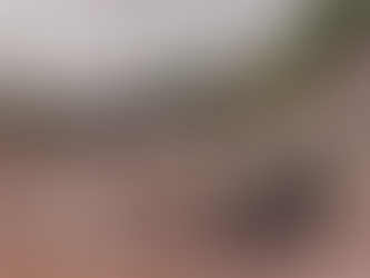 PERU | AUTOBUSI DOLI NGA RRUGA DHE RA NË PËRRUA; TË PAKTËN 37 TË VDEKUR DHE 18 TË PLAGOSUR.