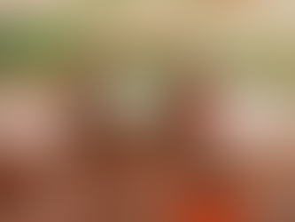 SHEMBJE NË NJË MINIERË TË PALIGJSHME ARI NË MALI: TË PAKTËN 48 TË VDEKUR (KRYESISHT GRA) | MALI ËSHTË NJË NGA PRODHUESIT KRYESORË TË ARIT NË AFRIKË POR ËSHTË NJË NDËR VENDET MË TË VARFRA NË BOTË.