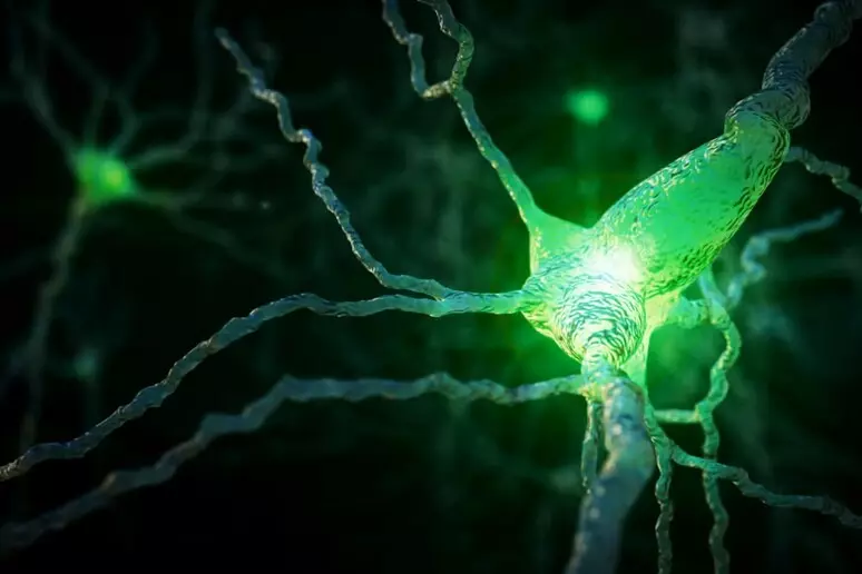 Përshtypje artistike për grimca proteinash dhe ARN që formohen në tru si përgjigje ndaj stresit qelizor.