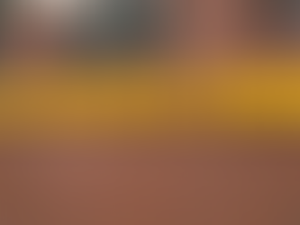 RRUGA “KONFERENCA E PEZËS”; TIRANË | DONALD ÇEKA (SALIHI) DHE ALBAN ÇEKA U ARRESTUAN; U PROCEDUA PENALISHT MINO ZOTAJ; SHITJE HASHASHI NË LAVAZH.