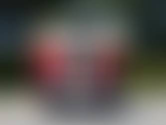 AMERIKË: FORD COE | VITI 1940.