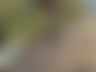 FSHATI KONJAT; LUSHNJE | HEKTOR LAKURIQI U ARRESTUA; AKSIDENT ME PASOJË VDEKJEN E QEMAL KRASNIQIT.