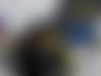 QËNDRUESHMËRIA E TË VEJAVE TË LUFTËS NË UKRAINË.