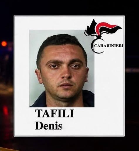 Z. Denis Tafili