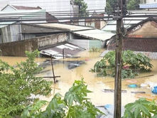 VIETNAM | 52 TË VDEKUR NGA PËRMBYTJET; MBI 100 MILIONË $ DËME.