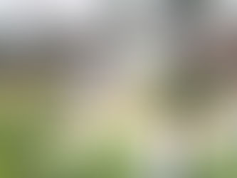 VIETNAM | 52 TË VDEKUR NGA PËRMBYTJET; MBI 100 MILIONË $ DËME.