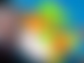 PRESIDENTI I DANLLD TRAMP (DONALD TRUMP): EVROPA JUGLINDORE QEVERISET NGA POLITIKANË HAJDUTË QË MINOJNË FUNKSIONIMIN E DEMOKRACISË; GJENDJA E EMERGJENËS SHTYHET ME 1 VIT.