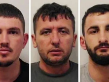 ËRVAIN (IRVINE); SKOCI | ELTON SKËNDERI; GJOVALIN TOMA; EDUARD DAJA U DËNUAN ME 18 VJET BURG PËR KULTIVIM HASHASHI NË SHTËPI BARI.