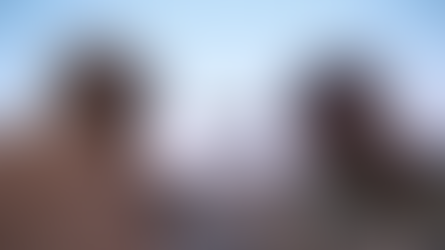 PRESIDENTI VOLODIMIR ZELENSKI: MBI 200 EKSPERTË UKRAINAS MBËSHTESIN LUFTËN KUNDËR IRANIT.