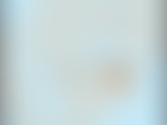 ZYRTARËT UKRAINAS DHE RUSË TË INTELIGJENCËS U TAKUAN NË ABU DHABI.