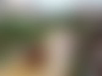 VIETNAM | 9 TË VDEKUR DHE MIJËRA TË EVAKUUAR PËR SHKAK TË MOTIT TË KEQ.