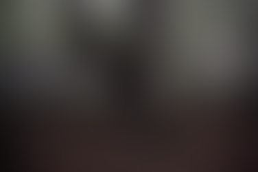 IRAN | QEVERIA E AJATOLLAHËVE KËRKON NDIHMË NGA JASHTË PËR SHUARJEN E ZJARREVE NË PYJET E TRASHËGIMISË BOTËRORE TË UNESCO-s MOSHA E TË CILËVE VLERËSOHET MIDIS 25 DHE 50 MILION VITEVE.