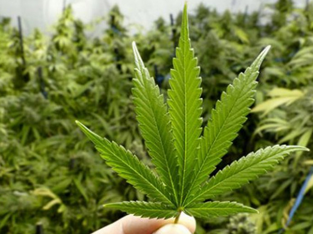 FSHATI DUMNICË E POSHTME; PODUJEVË | U ARRESTUAN MEHDI BEHRAMI; DARDAN BEHRAMI; XHEMAJL XHAFA; NJË I MITUR ME MOSHË 16 VJEÇ ME MBIEMËR SALIANJI (DY TË FUNDIT QYTETARË TË RSH-së) | KULTIVIM HASHASHI.