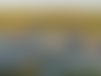 LITUANI | AEROPORTI I VILNIUSIT U MBYLL PËRKOHËSISHT PAS PIKASJES SË NJË DRONI.