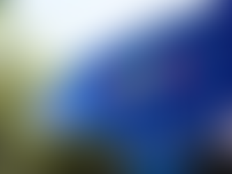 AMERIKË | JURIA E NJË GJYKATE FEDERALE VENDOSI SE KOMPANIA GOOGLE DO TË DUHET TË PAGUAJË 425 MILIONË $ DËMSHPËRBLIM PËR SHKELJE TË PRIVATËSISË SË RRETH 100 MILIONË PËRDORUESVE.