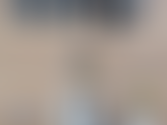 LAMIA | DREJTORIA PËR LUFTIMIN E KRIMIT TË ORGANIZUAR (FBI-ja GREKE) PROCEDOI PENALISHT TË BURGOSURIT GENTIAN ISUFI; ANDI SELIMI; ALBAN XHEBEXHIU (FRANKO SHARKA).