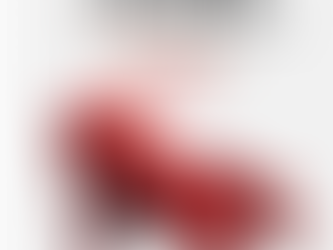 NË JERUZALEM U HAP FESTIVALI I FILMIT | AKTORJA GAL GADOT (WONDER WOMAN) ËSHTË E FTUARA E NDERIT.