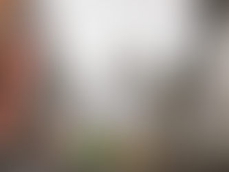 LLOJI I RI I VIRUSIT MPOX PREFERON FËMIJËT DHE TRANSMETOHET MË MIRË TE MESHKUJT QË KRYEJNË RAPORTE SEKSUALE ME NJËRI-TJETRIN.