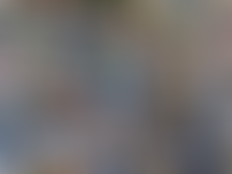 BASHKIMI EUROPIAN HAPI PROCEDURË PËR SHKELJEN E ROMËS PËR PLASTIKËN NJËPËRDORIMSHE.