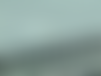 AMERIKË: NJË HELIKOPTER U RRËZUA NË LUMIN HUDSON NË JORKUN E RI | AKSIDENTI NDODHI NË UEST SAID HAIUEI (WEST SIDE HIGHWAY) DHE SPRING STRIT (STREET); 6 TË VDEKUR (PILOTI DHE NJË FAMILJE SPANJOLLE).