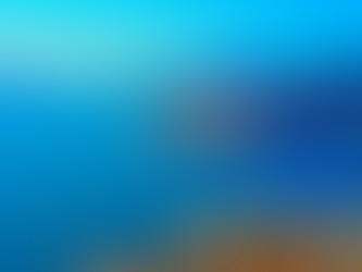 THIRRJE PUBLIKE DREJTUAR TË AFËRMVE TË KATËR (4) QYTETARËVE QË HUMBËN JETËN NË BREGLIQEN.