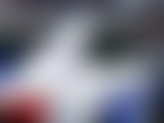 RRUGA “ULQINI”; PRIZREN | NUREDIN GASHI U SHPALL NË KËRKIM POLICOR; 5 RRËNJË HASHASH NË VAZO + FISHEKË + 19900 €.