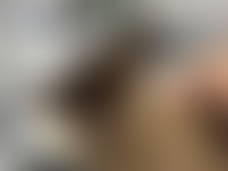 HISTORIA E PABLOS | MAÇOKUT QË HYRI PËR TË FJETUR NË LAVATRIÇE; MBIJETOI 55 MINUTA BRENDA SAJ PASI U NDEZ NGA TË ZOTËT E SHTËPISË.