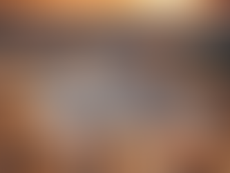 VATIKAN: SHESHI I SHËN PJETRIT.