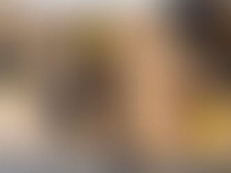 FSHATI LËKURTAJ; TROPOJË | ARJAN PRENGZAJ DHE AVDI ISMAJLGECI U ARRESTUAN; ARMË ZJARRI + MUNICION LUFTARAK + RADIO POLICIE.